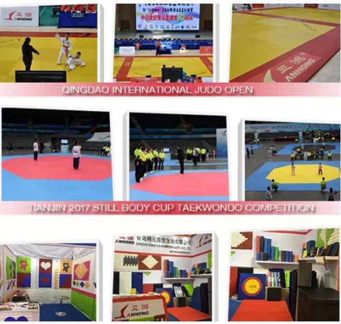 Judo Mat Kodokan Jujutsu Judo Grappling Martial Art Bjj Jujitsu Mat