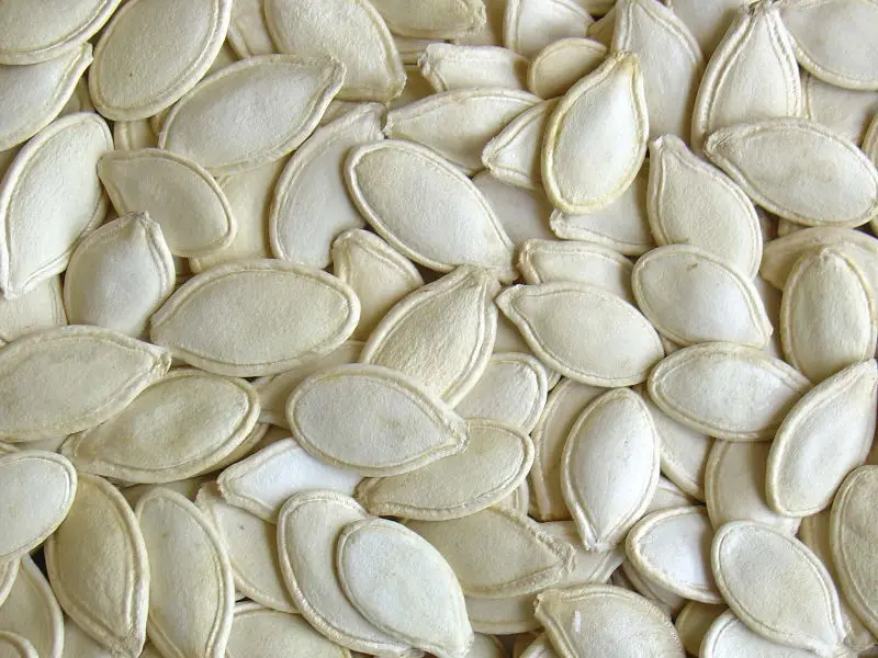 shine-skin pumpkin seeds12.JPG