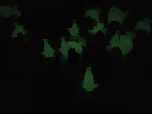 HTB1_iKkNVXXXXcRapXXq6xXFXXXJ