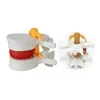 Human lumbar disc herniation demonstration spine model