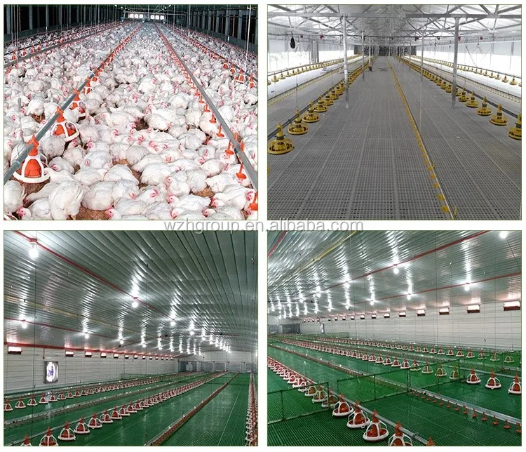 2020 New Design Automatic Poultry Farm Shed Prefab Chicken Farm