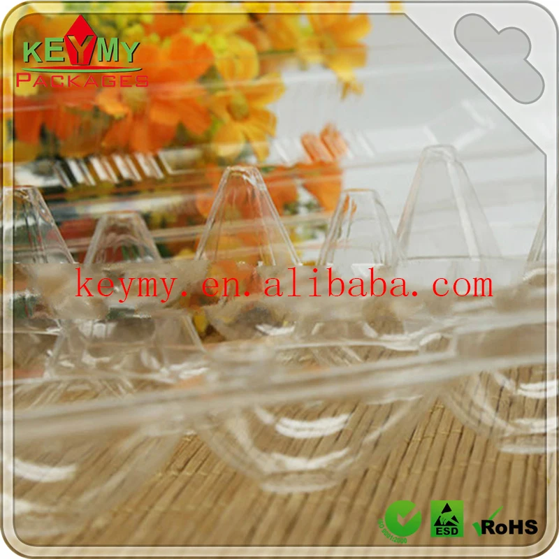 Wholesale Disposable Ecofriendly Customize Plastic Clear Food Tray