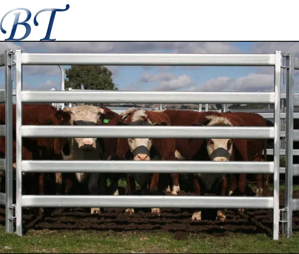 Australia portable use a wide range of galvanized ranch cattle panel with top quality