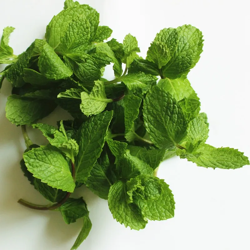 5012 Bo He Ye Herbal Medicine Dry Mint Leaves Buy Dry Mint Leaves