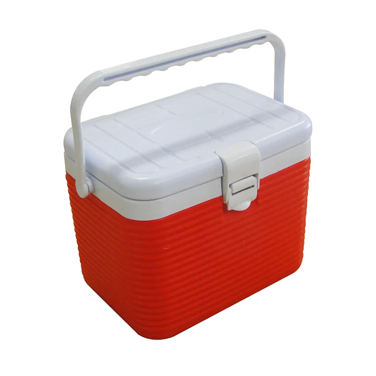 small ice box for medicine