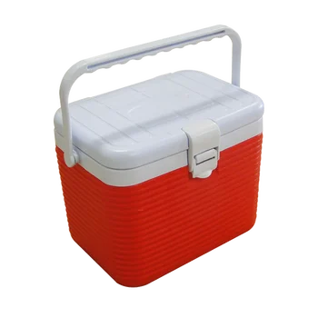 mini ice box for insulin