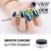 /product-detail/nail-beauty-chrome-dipping-acrylic-powder-factory-supply-with-private-label-hot-sell-bling-bling-shiny-nails-custom-private-logo-60716113293.html