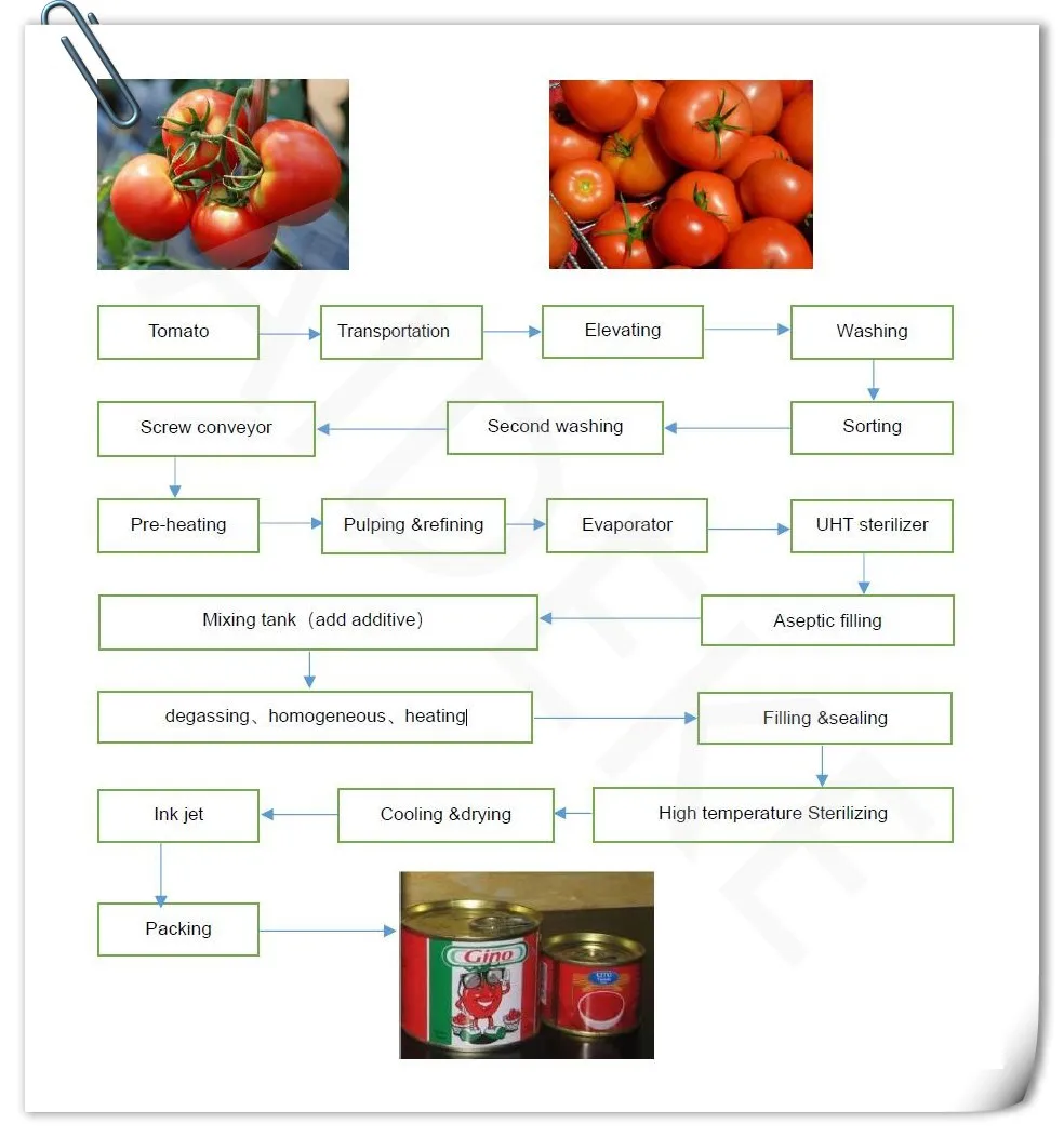 Tomato Sauce Processing Line/tomato Sauce Production Machine Buy