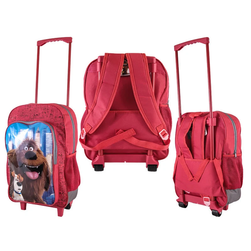 Custom Cabin Bag Suitcase Wheels 