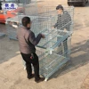 Good Quality Powder Coated Foldable Rolling Metal Storage Steel Pallet Cage