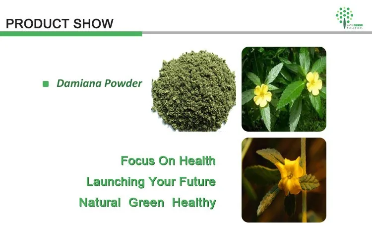 Health製品damianaハーブパウダー Damiana葉エキス粉末 Damiana Leaf粉末 Buy ダミアナハーブ ダミアナの葉の粉末 の葉の粉末 Product On Alibaba Com Health製品damianaハーブパウダー Damiana葉エキス粉末 Damiana Leaf粉末 Buy ダミアナハーブ ダミアナの葉の粉末 の葉の粉末 Product On Alibaba Com