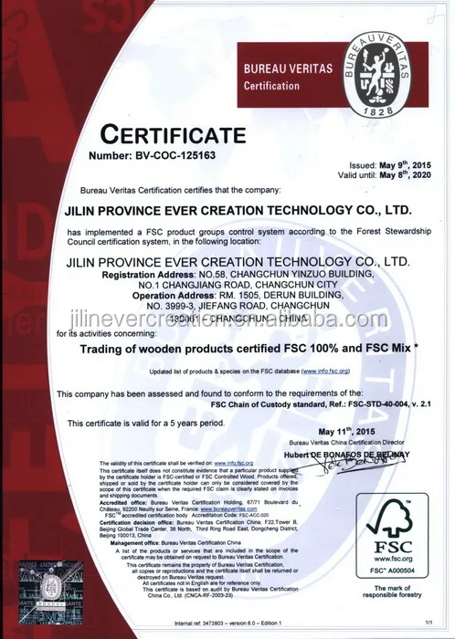 carved owl wooden slingshot