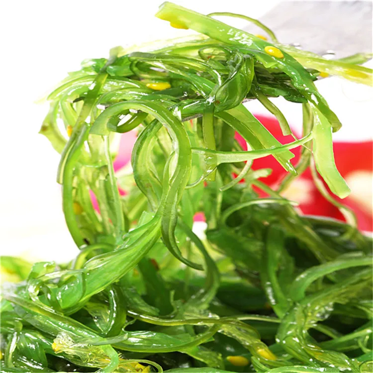 algae in japanese