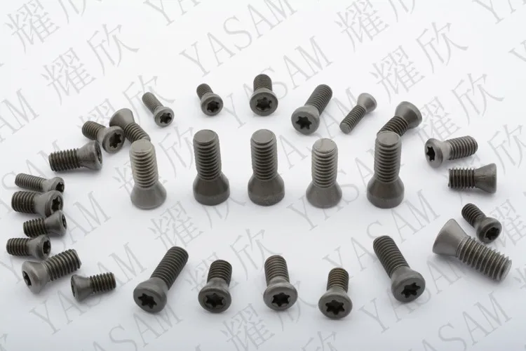 TORX screws (14)