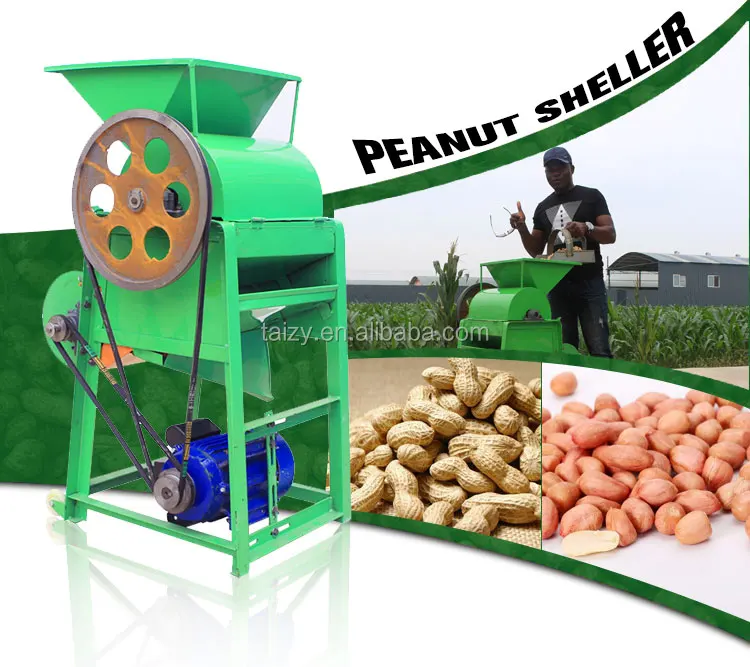 TZ-200 peanut sheller (1)