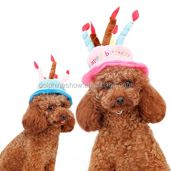 Joyeux Anniversaire Gateau Chapeau Pour Chien Petit Animal Chat Gateau Cape Vente En Gros Buy Chapeau De Gateau D Anniversaire Chapeau D Anniversaire D Animal Familier Cape De Gateau De Chat Product On Alibaba Com