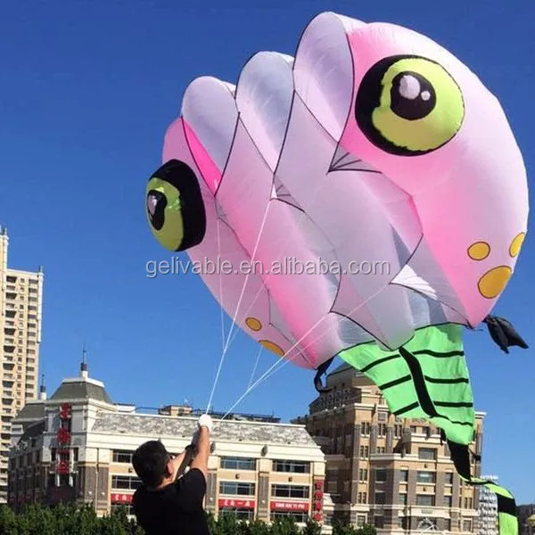Chinese 8 Sqm Single Line Tadpole Inflatable Pilot Kite Buy
