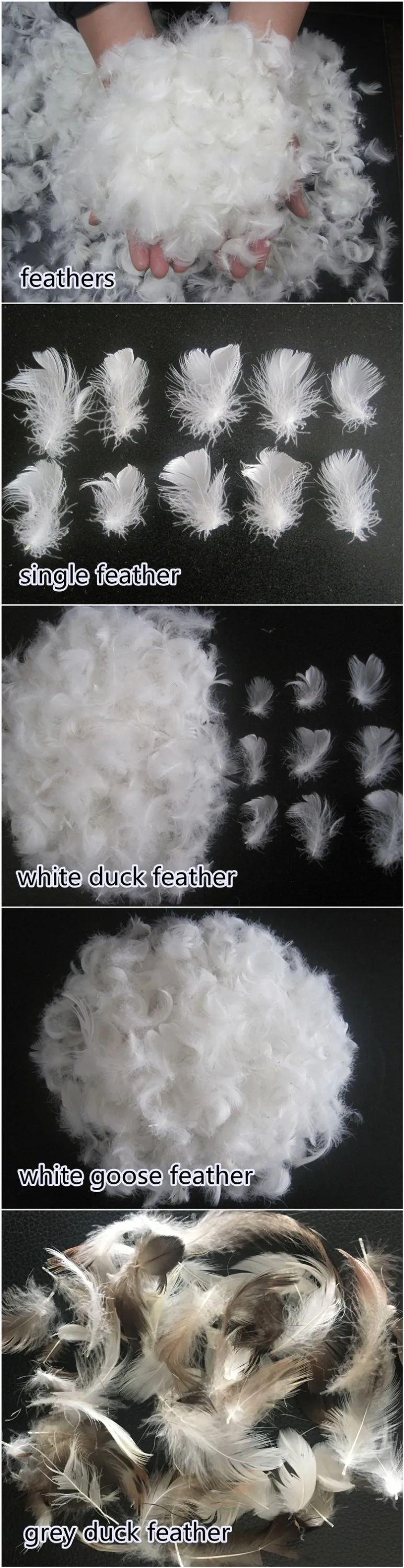 duck down feathers for sale