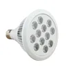 low level laser therapy light 24W PAR38 red lamps led skin rejuvenation light