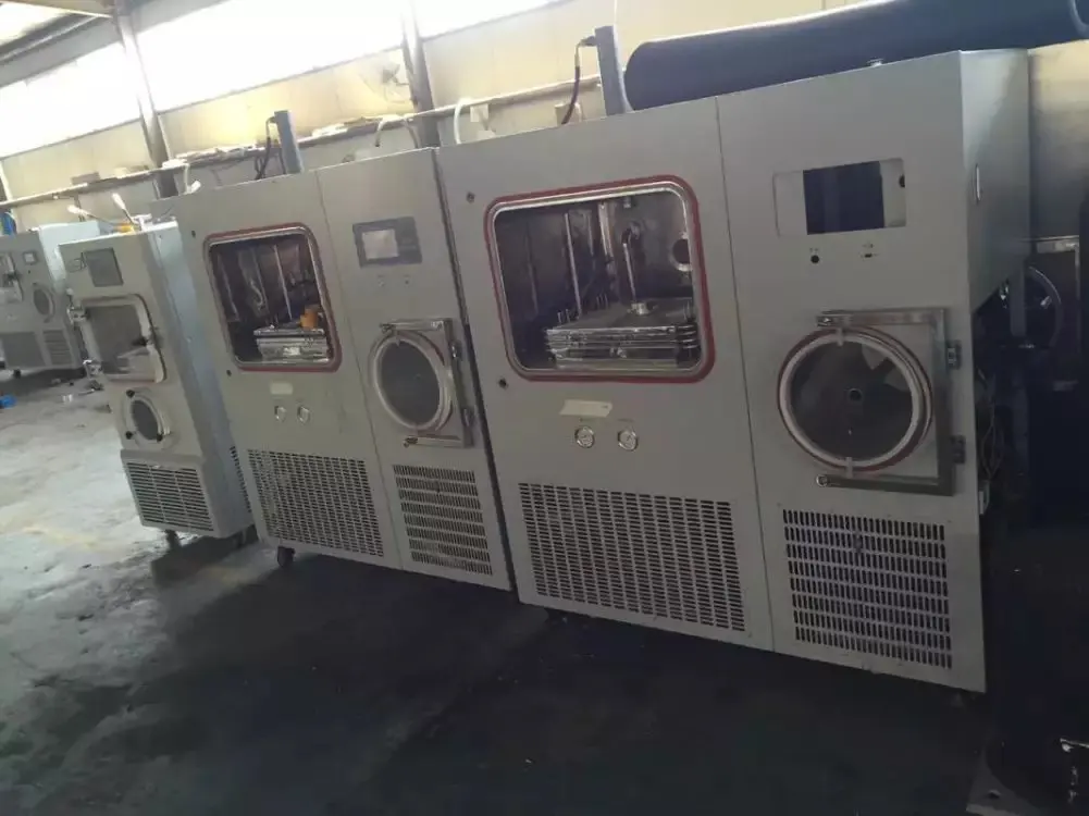 lyophilizer freeze dryer