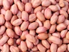 Import groundnut