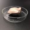 vanadium to nitrogen ratio VN12, VN16