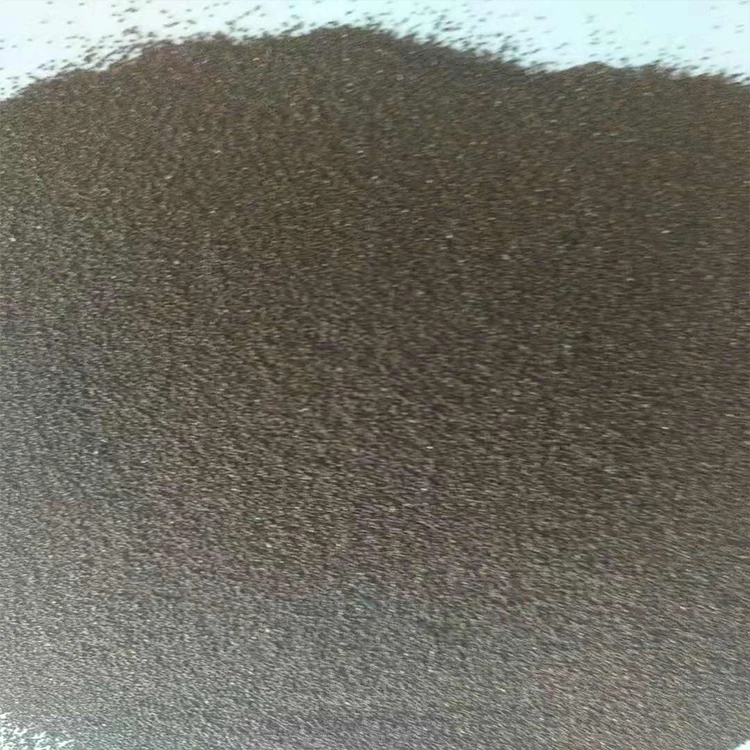 artemia cysts brine shrimp eggs