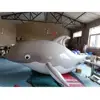 giant inflatable dolphin / inflatable large dolphin model