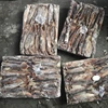 small size seafrozen illex squid whole round for bait