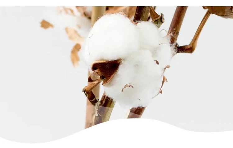 organic cotton tampon 1