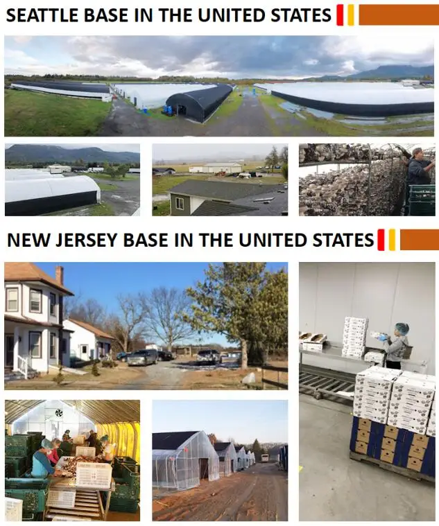 US BASE