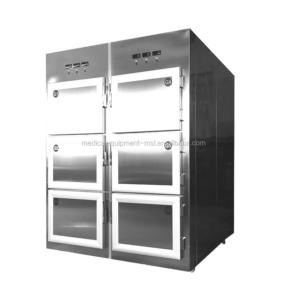 6 bodies morgue  (3).png