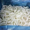 Delicious Frozen HACCP Squid Ring and innovative silver ornament blanched squid rings
