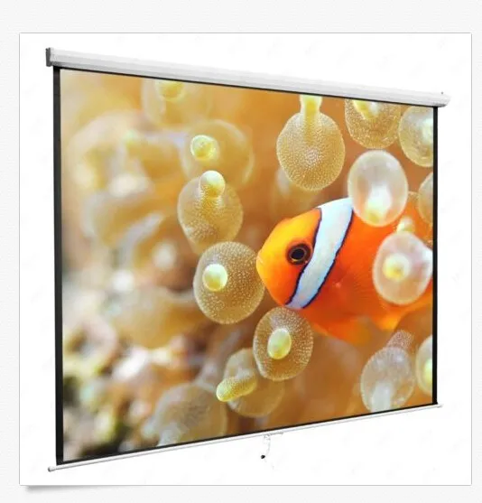 Factory Price 169 100inch Manual Projector Screen Fabric With White