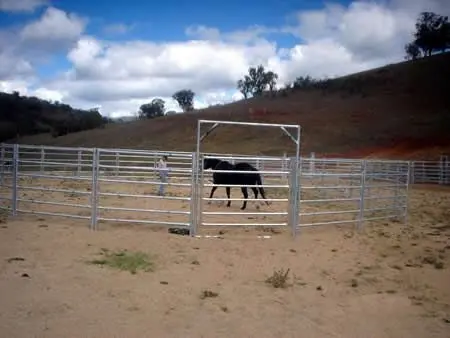 016-2 horse panels[1]
