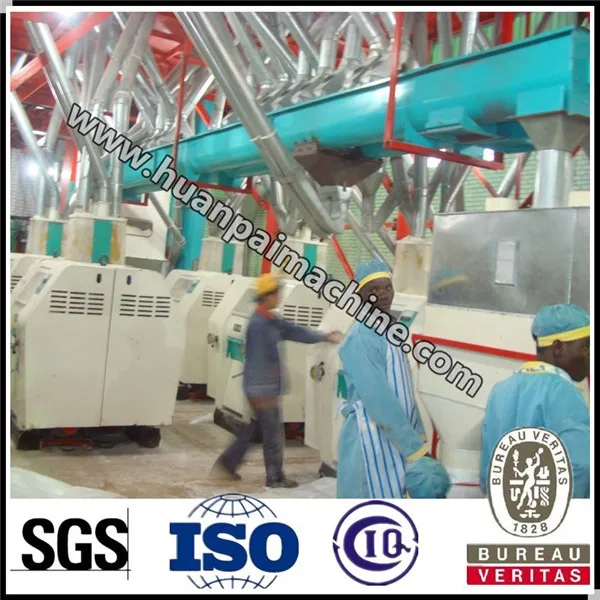 White Super Corn Maize Flour Meal Machine / maize flour milling machine