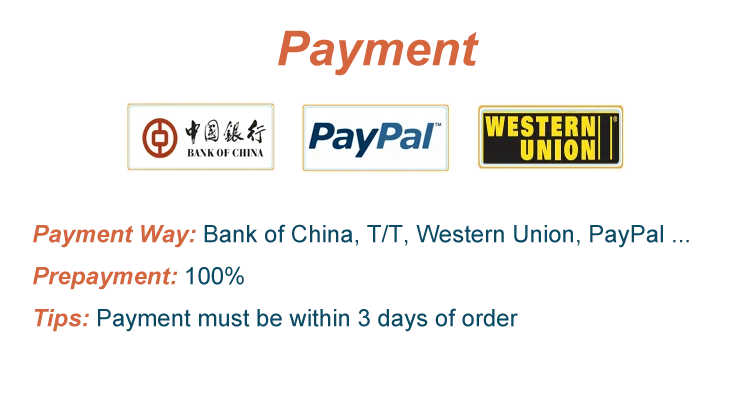 Payment