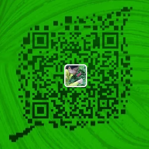 wechat.jpg