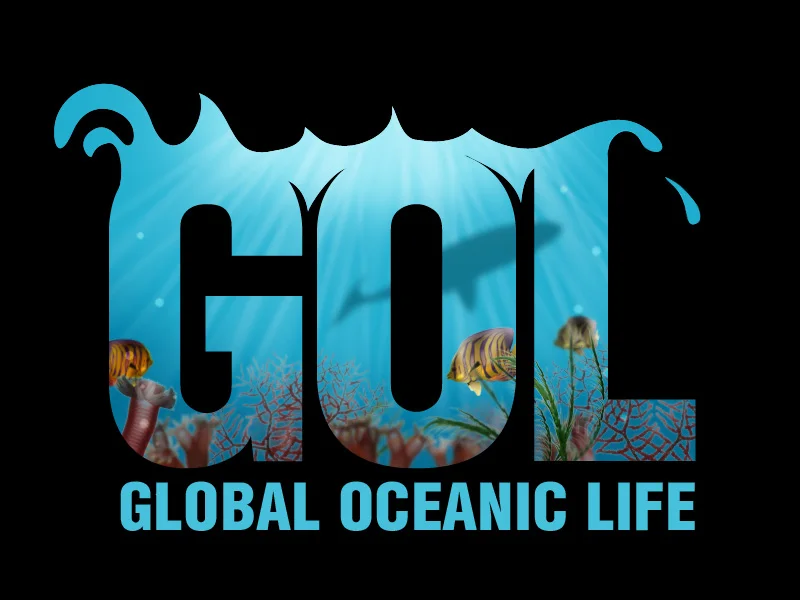 Global ocean