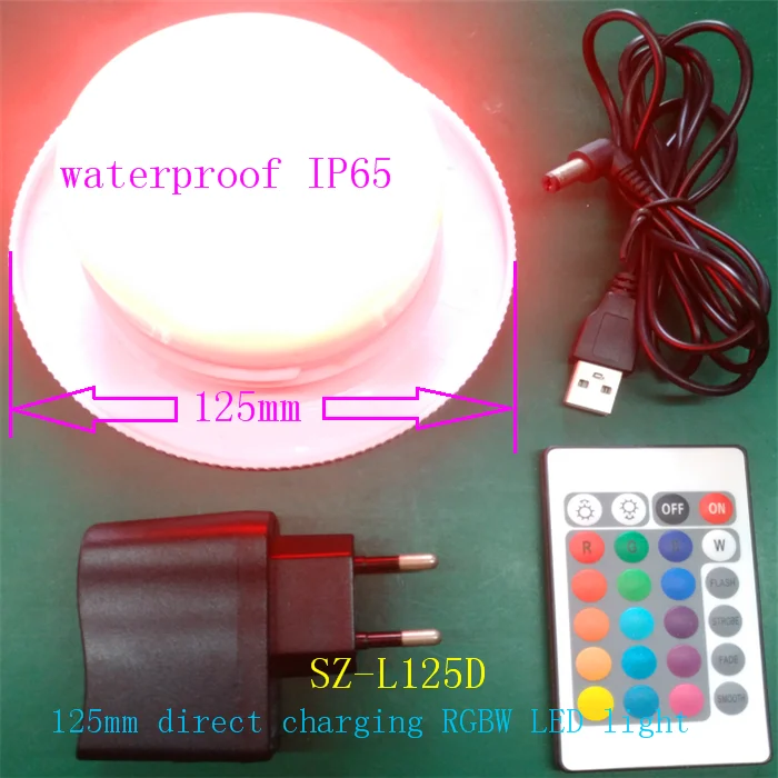 battery license plate light