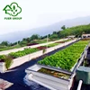 Commercial aquaponics system for fish and plant grow together soilless culture