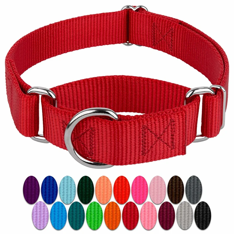 Personalized Strong Durable Cool Unique Martingale Dog Collars For Pet