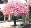 Real like cherry blossom tree