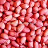 PEANUT BLANCHED PEANUT KERNEL