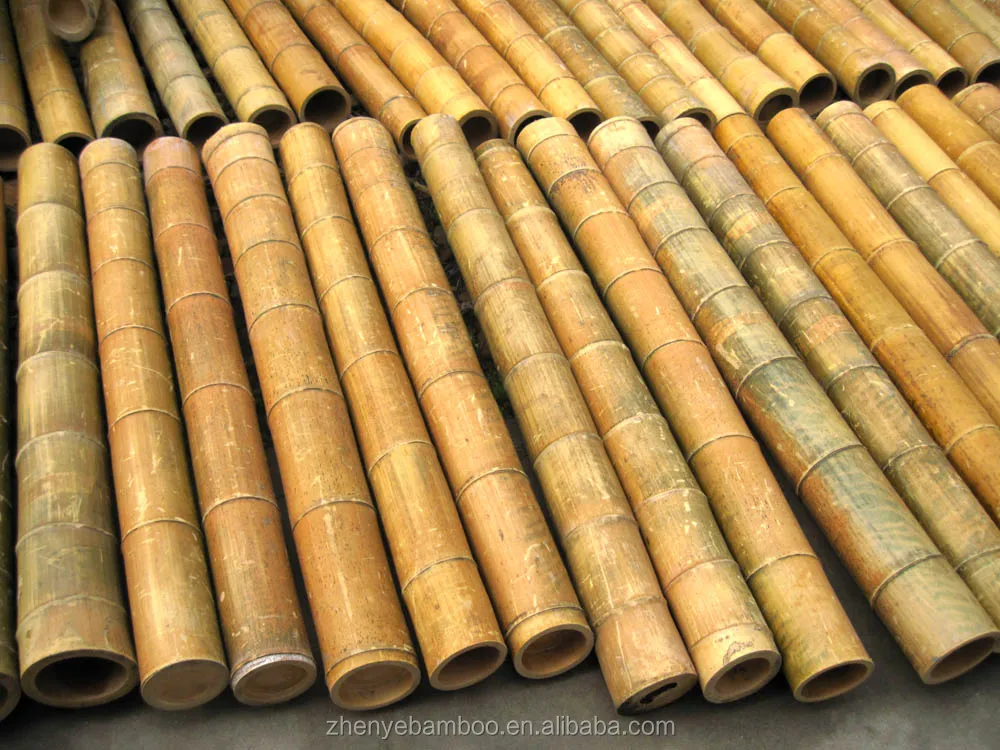 Giant Bamboo Trunks,Large Bamboo Poles,Raw Bamboo Material Large ...