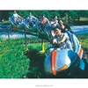 Outdoor Amusement Theme Park Roller Coaster Fairground Fairyland Kids Adults Rides for Fun