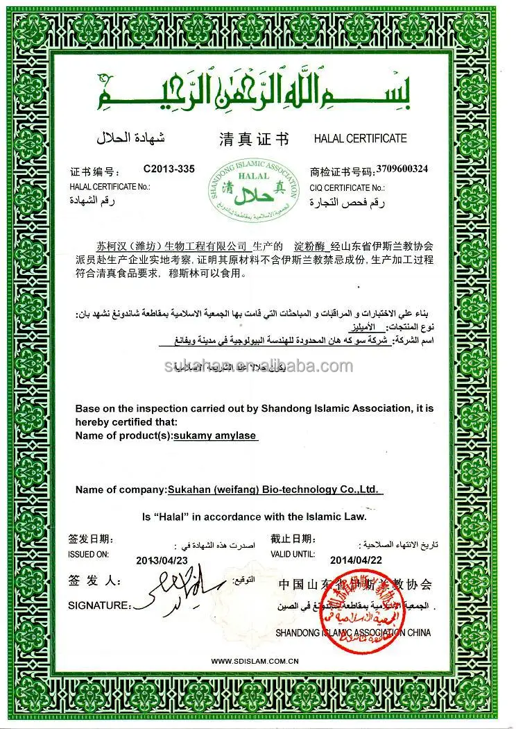 HALA CERTIFICATE (THE FIRST PAGE)web