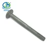 High Strength Hot Dip Galvanized Pole Step Bolt