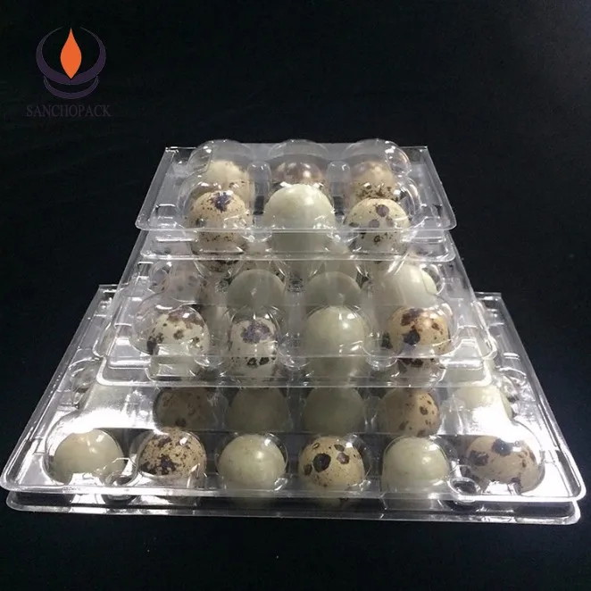 Plastic Wholesale Quail Egg Packing Cartons Buy Quail Egg Cartons