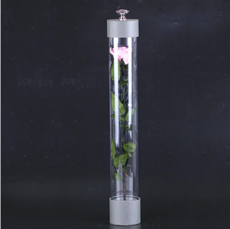 5-6cm  roses buds with stems